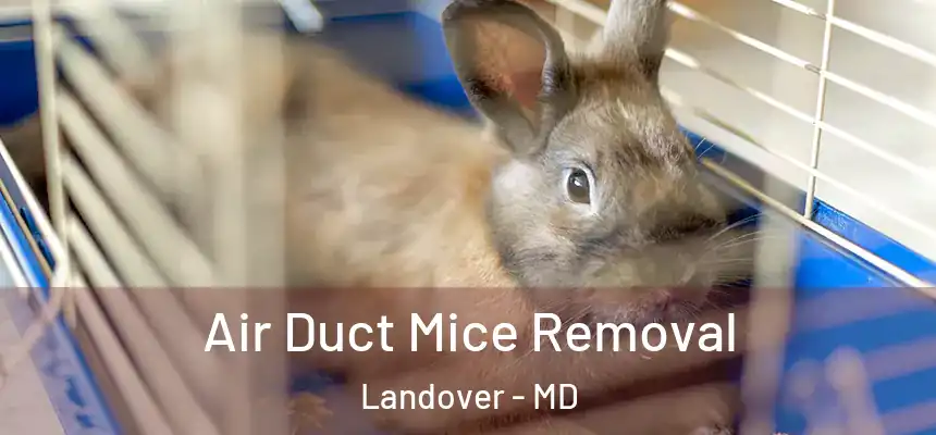  Air Duct Mice Removal Landover - MD