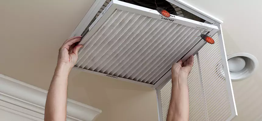 Preventive Cockroach-Proofing for Ducts in Landover