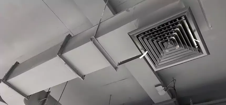 Restorative Allergy Relief Vent Cleaning – Coil, Blower & Housing Detail in Landover