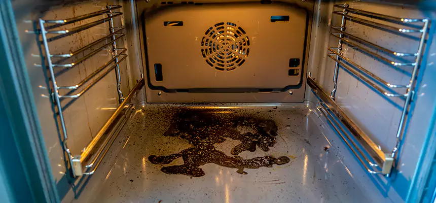 Our Dryer Vent Mold Cleaning Services in Landover, MD