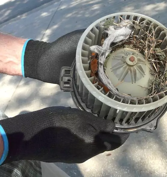 About Air Duct Mice Removal in Landover, MD