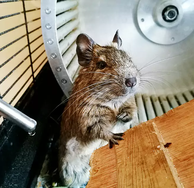 Why Homeowners & Businesses Trust Us Landover, MD