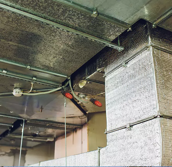 Why Homeowners & Businesses Trust Us Landover, MD?